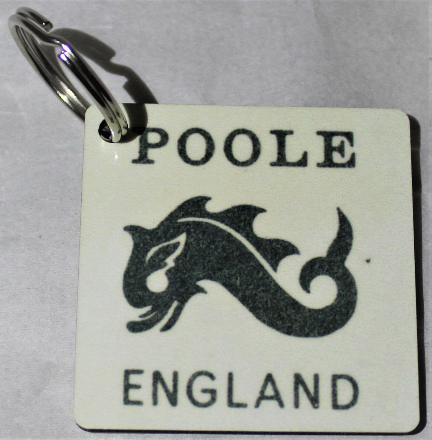 Keyring - Poole Dolphin Logo