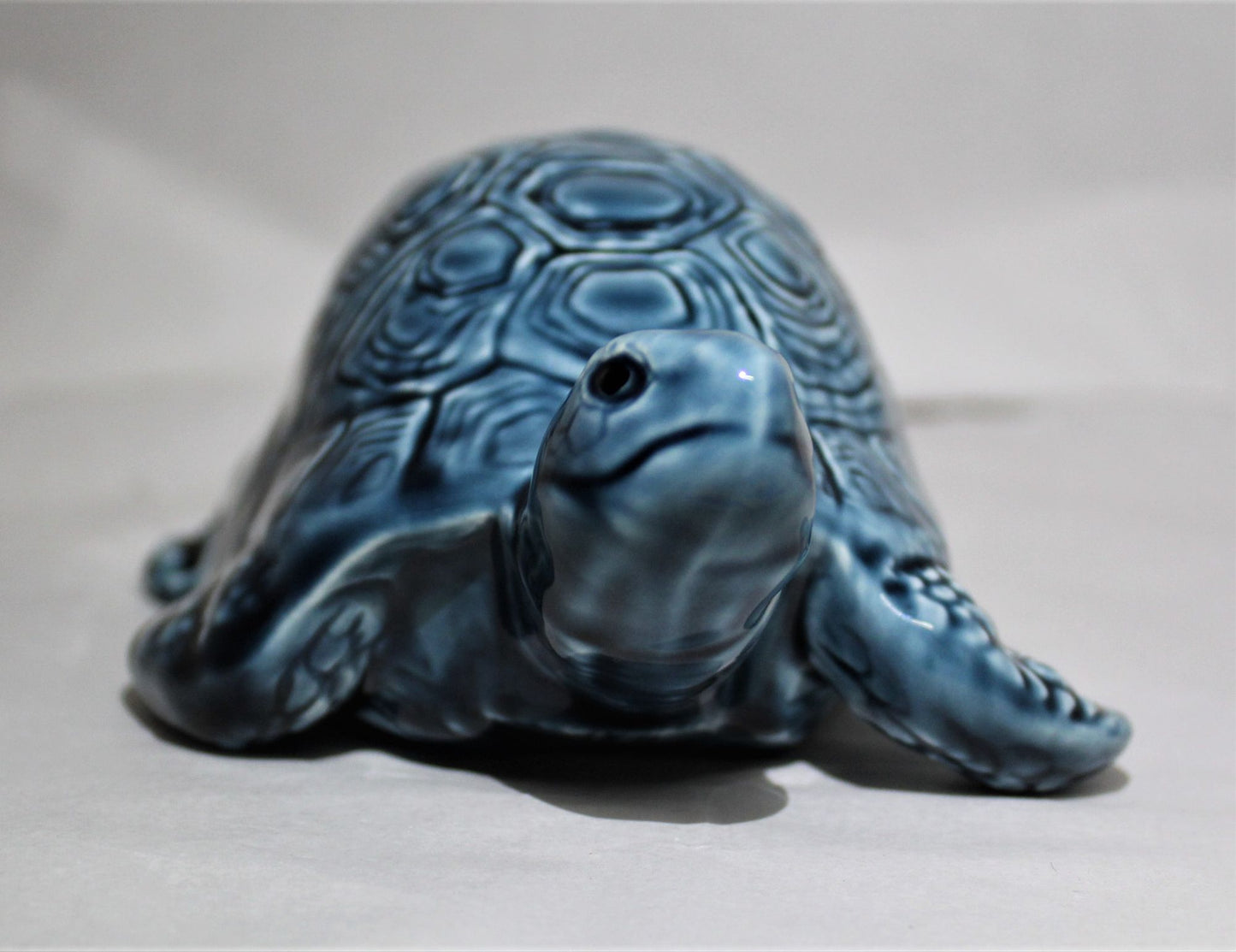 Tortoise
