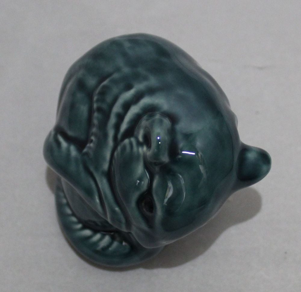 Awake Doormouse
