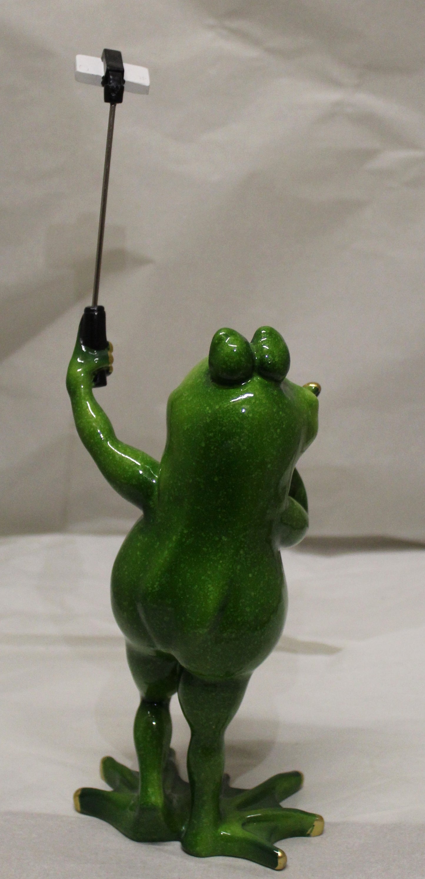 Comical Frogs - Standing Selfie