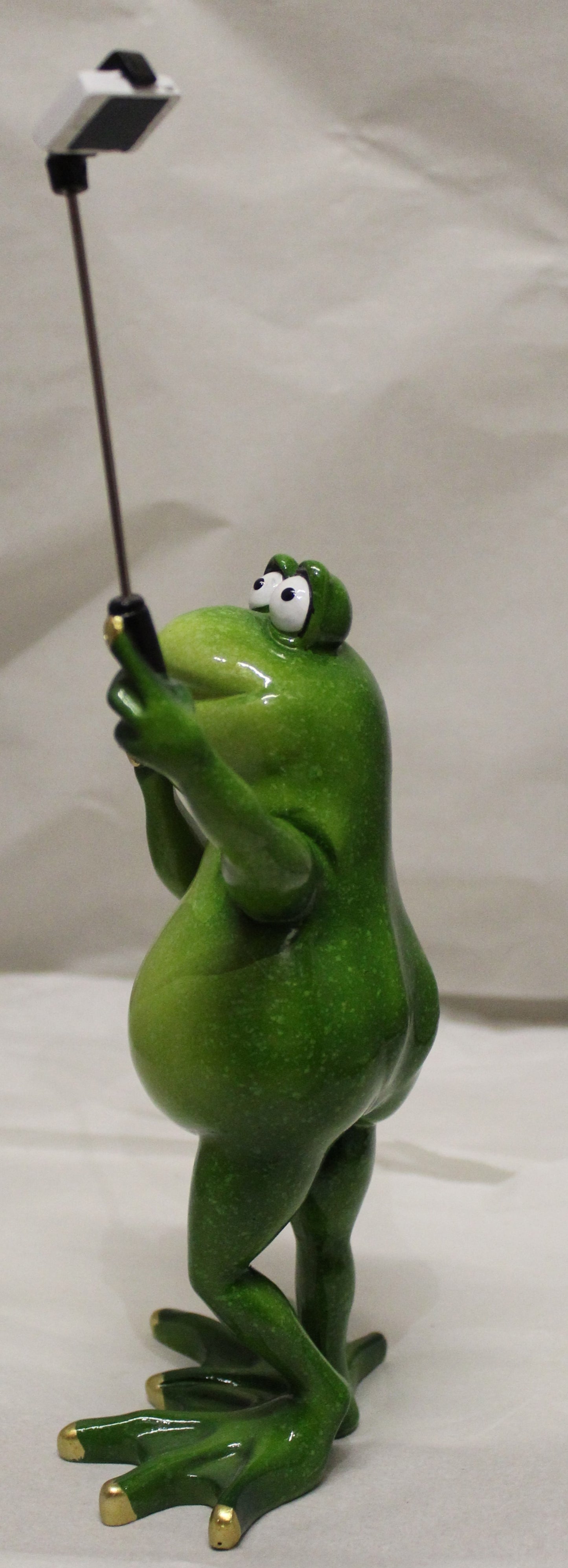 Comical Frogs - Standing Selfie