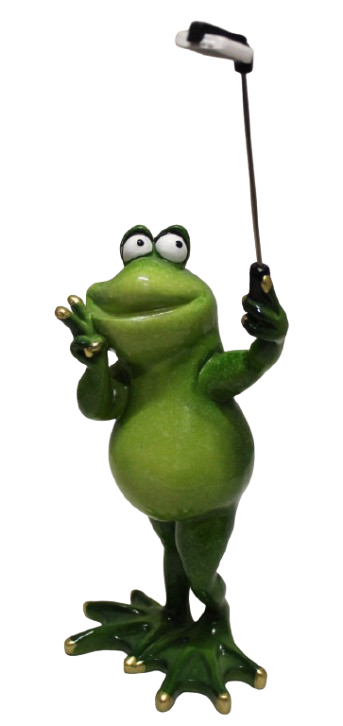 Comical Frogs - Standing Selfie