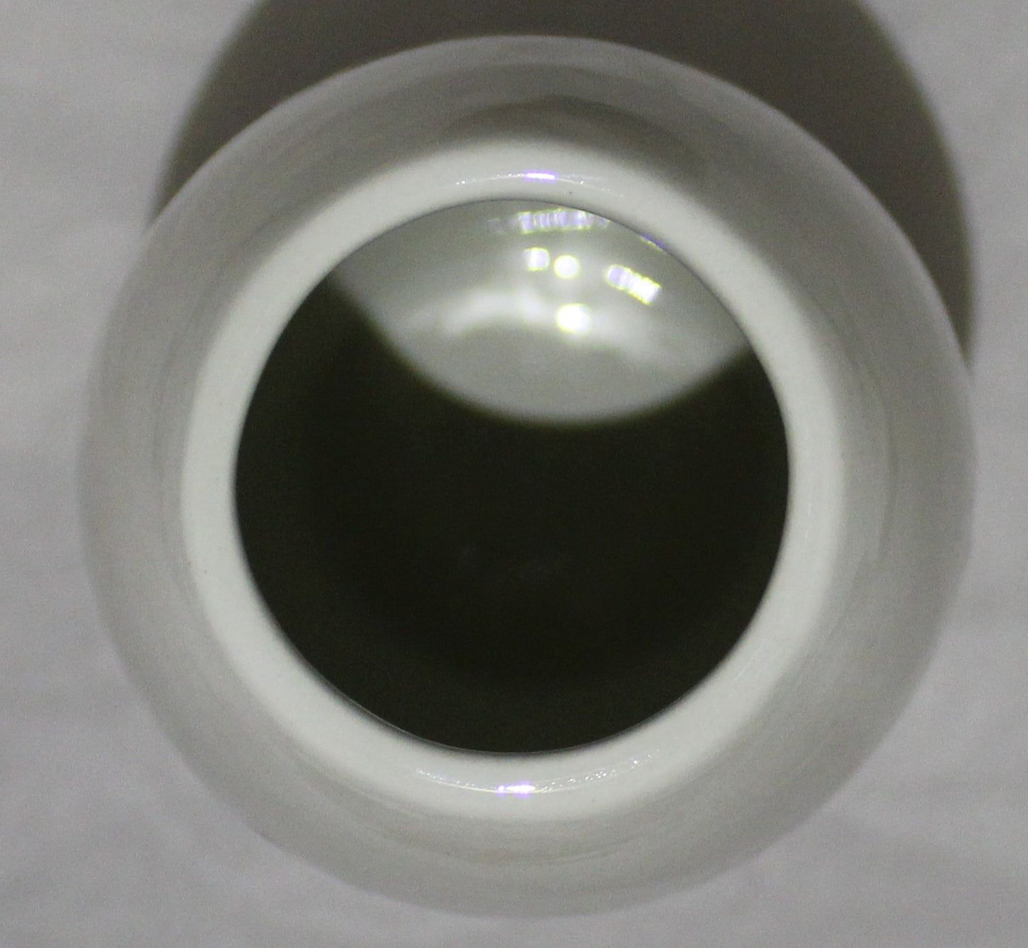 Torpedo Vase - Studio Poole Winter Vine