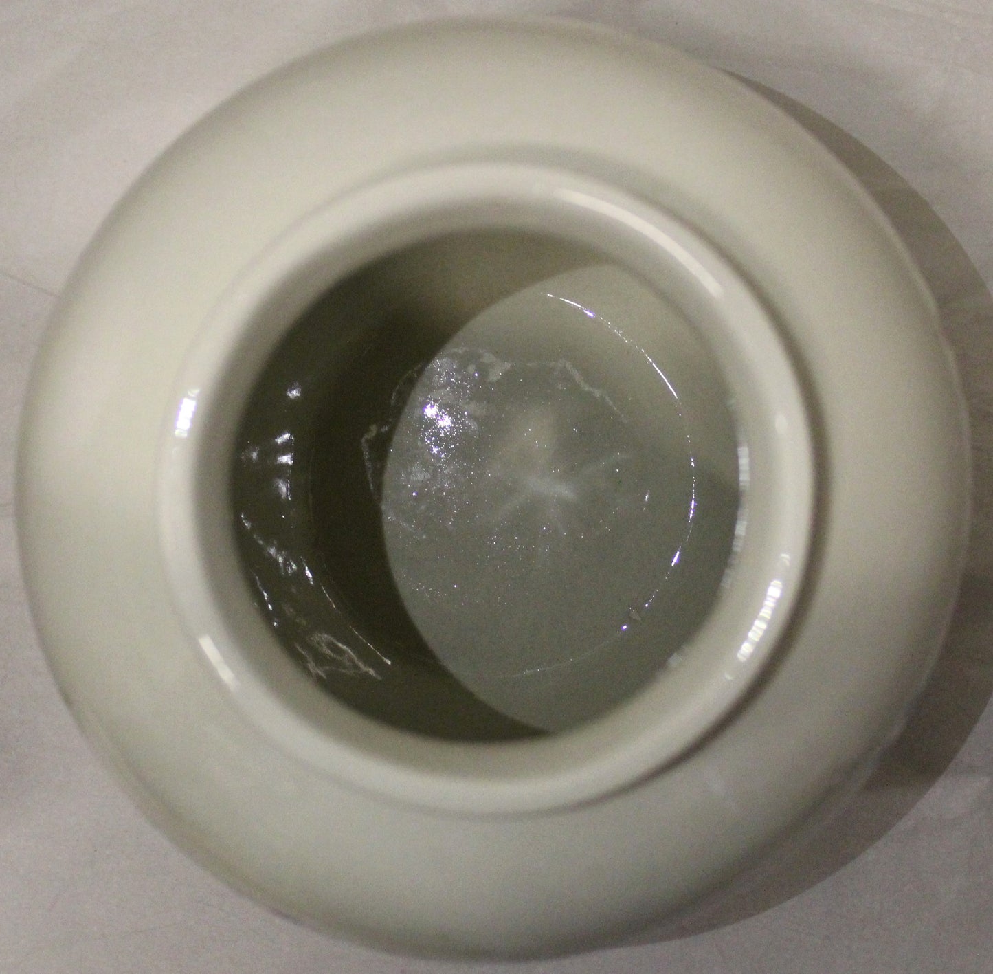 Bulbous Vase - Winter Vine Huts