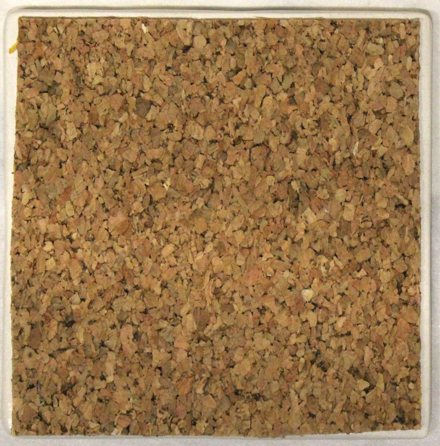Coasters Cork backed - Set of 4 - Studio Poole Winter Vine design