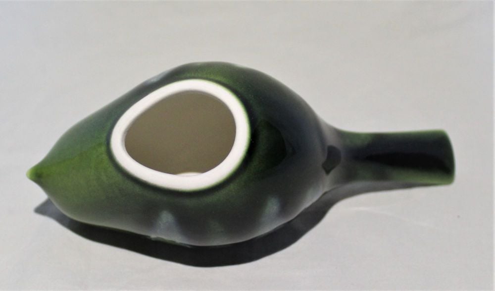 Poole Bird - Pecking - Maya design
