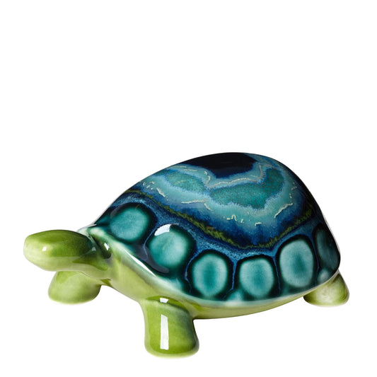 Tortoise - Maya Design