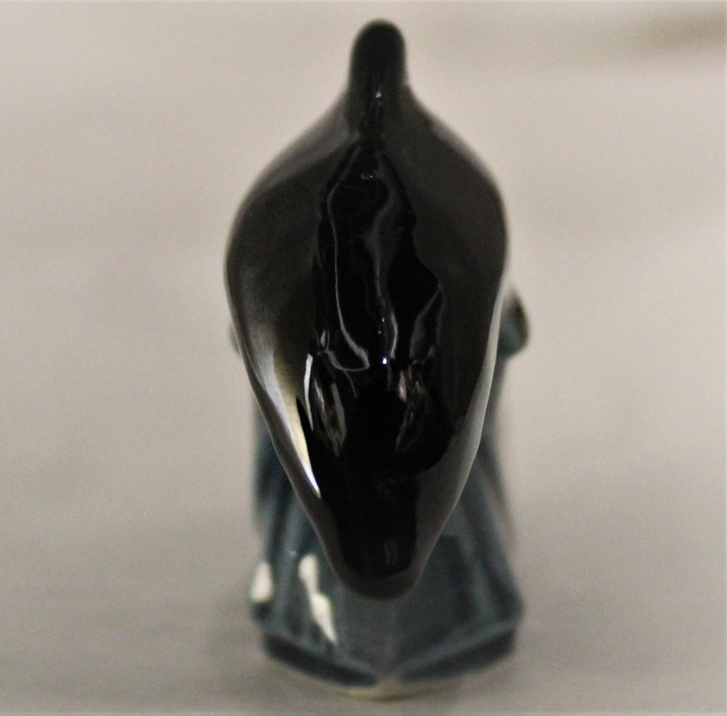 Miniature Poole Dolphin