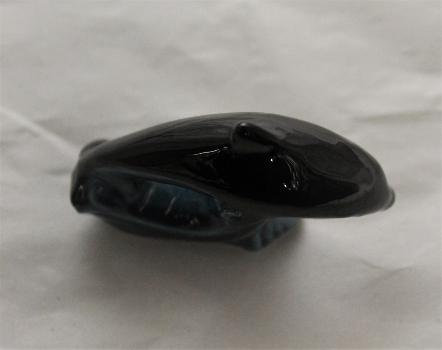 Miniature Poole Dolphin