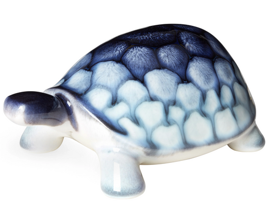 Tortoise - Ocean Design
