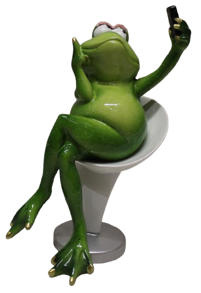 Comical Frogs - Sitting Selfie