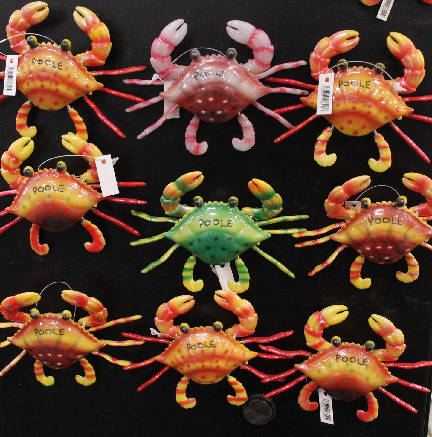 Studio Poole 2025 Springy Crab Magnet