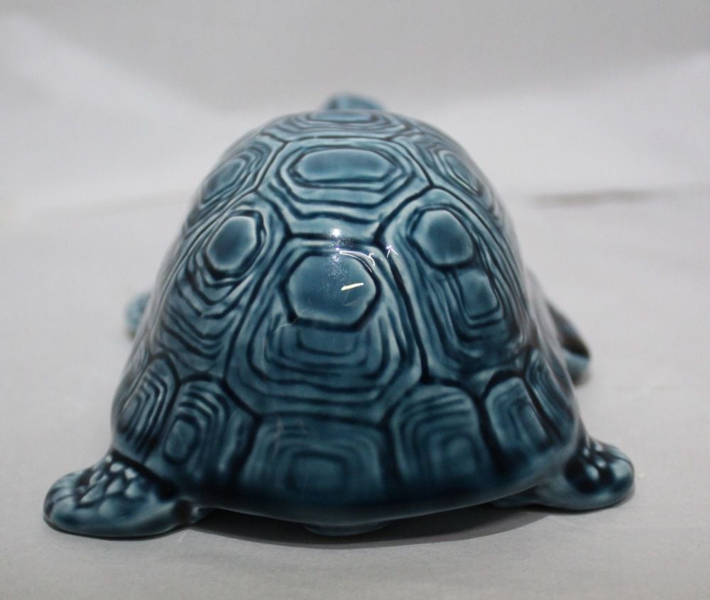 Tortoise