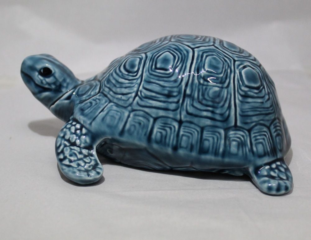 Tortoise