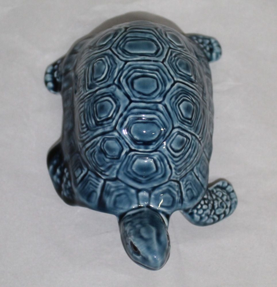Tortoise