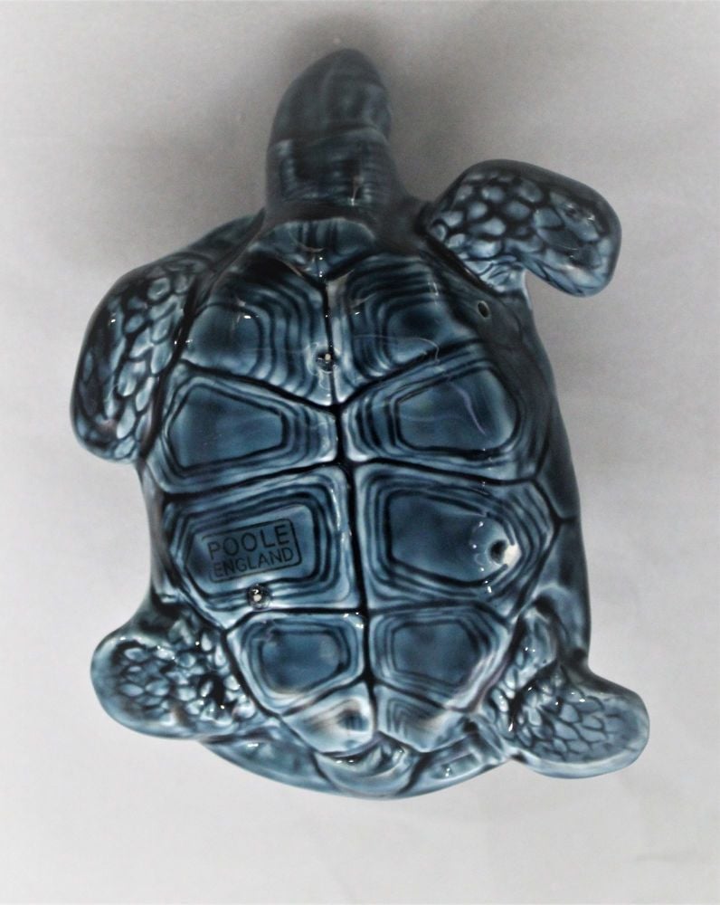Tortoise