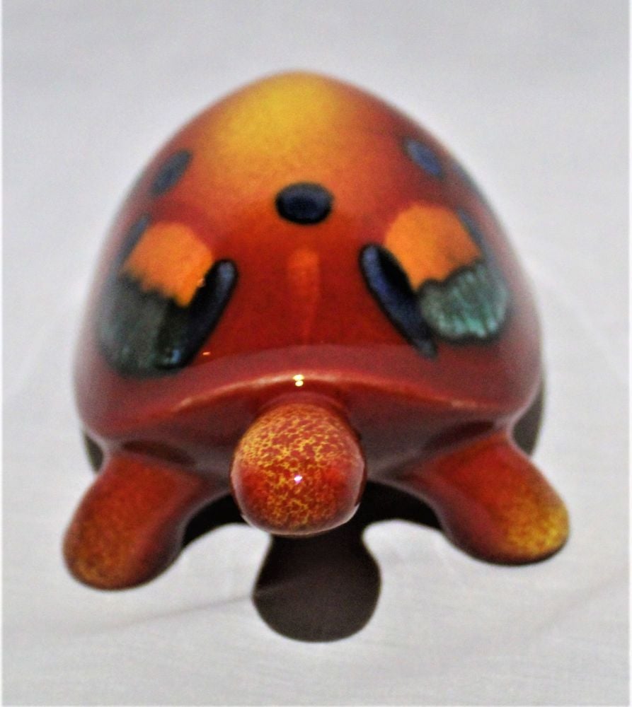 Tortoise - Volcano Design