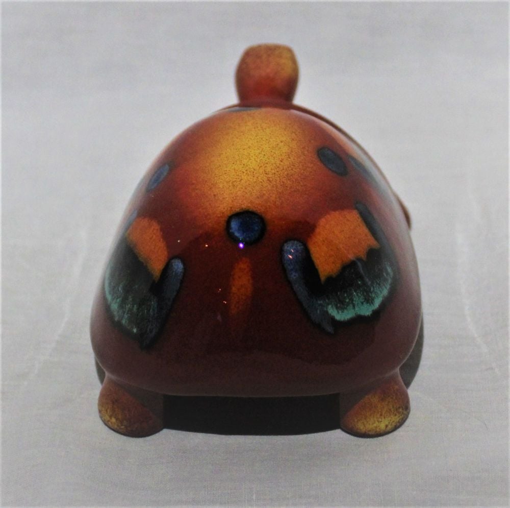 Tortoise - Volcano Design