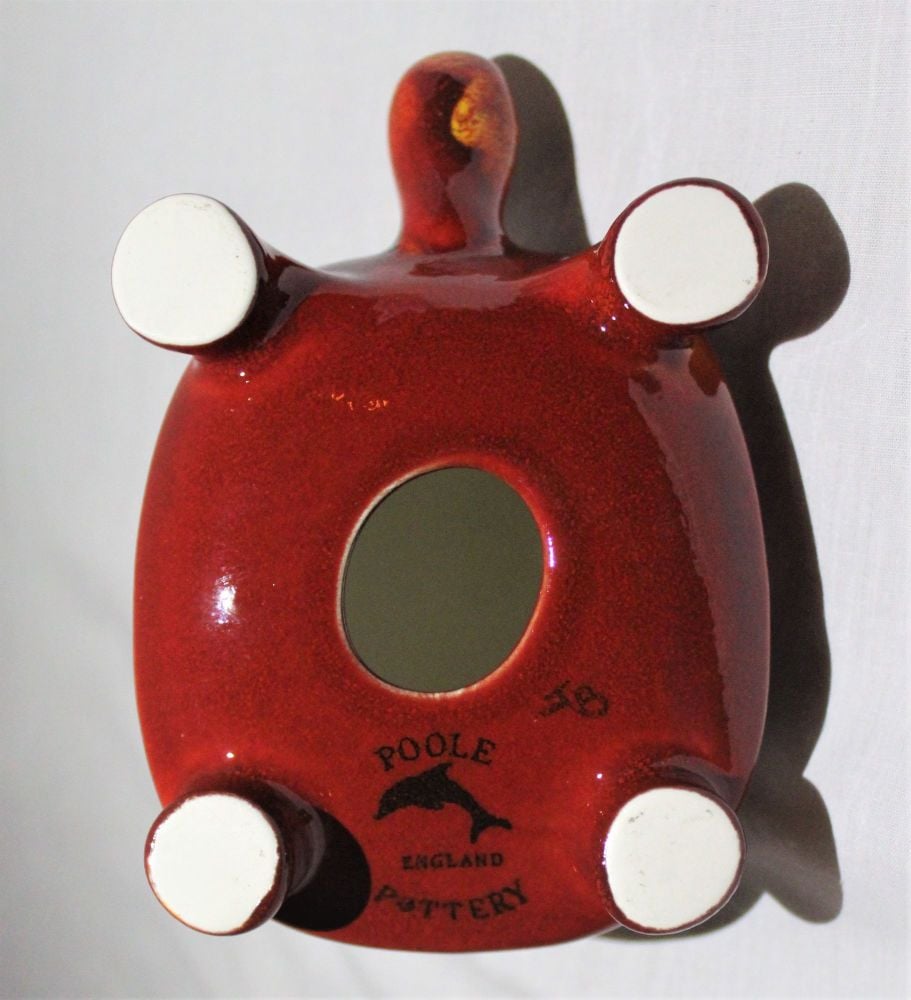 Tortoise - Volcano Design