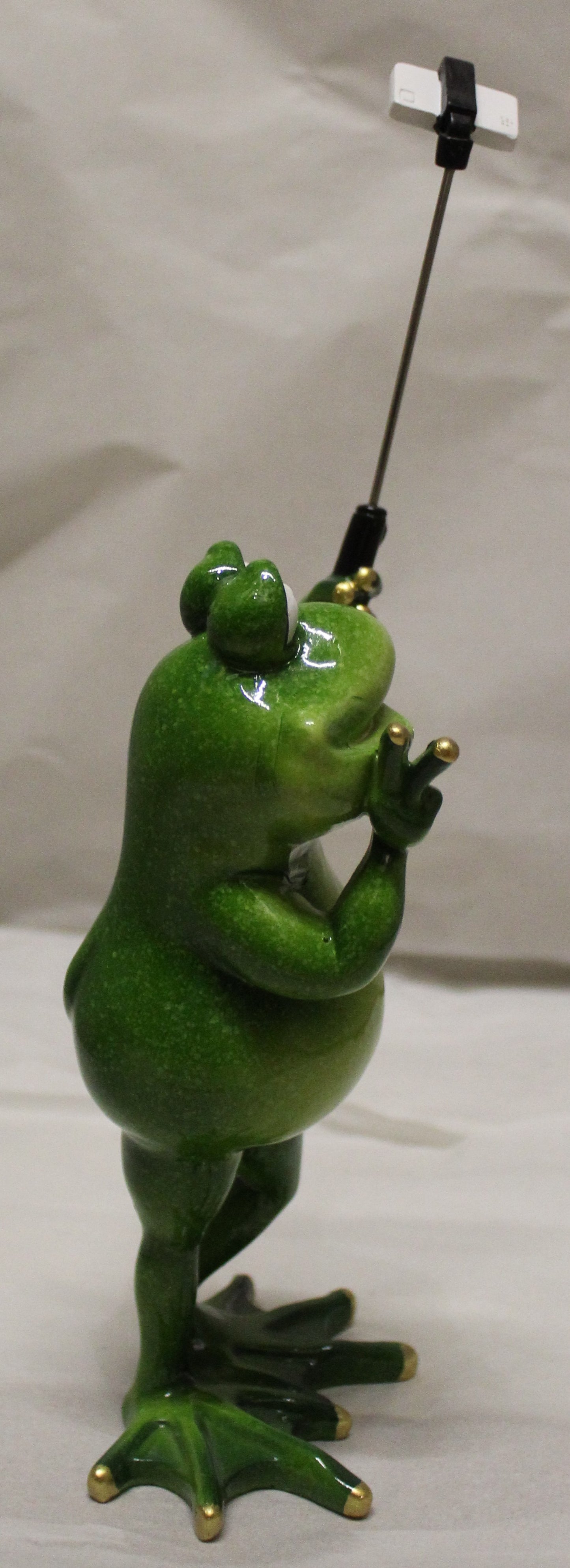 Comical Frogs - Standing Selfie