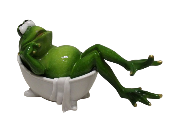 Comical Frogs - Bathtime