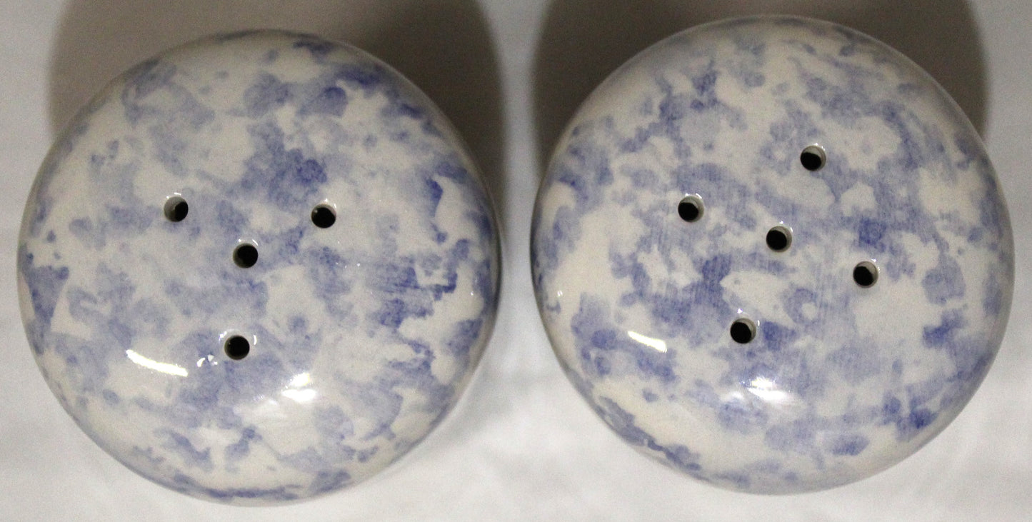 Cruet Set - Blue Vine design