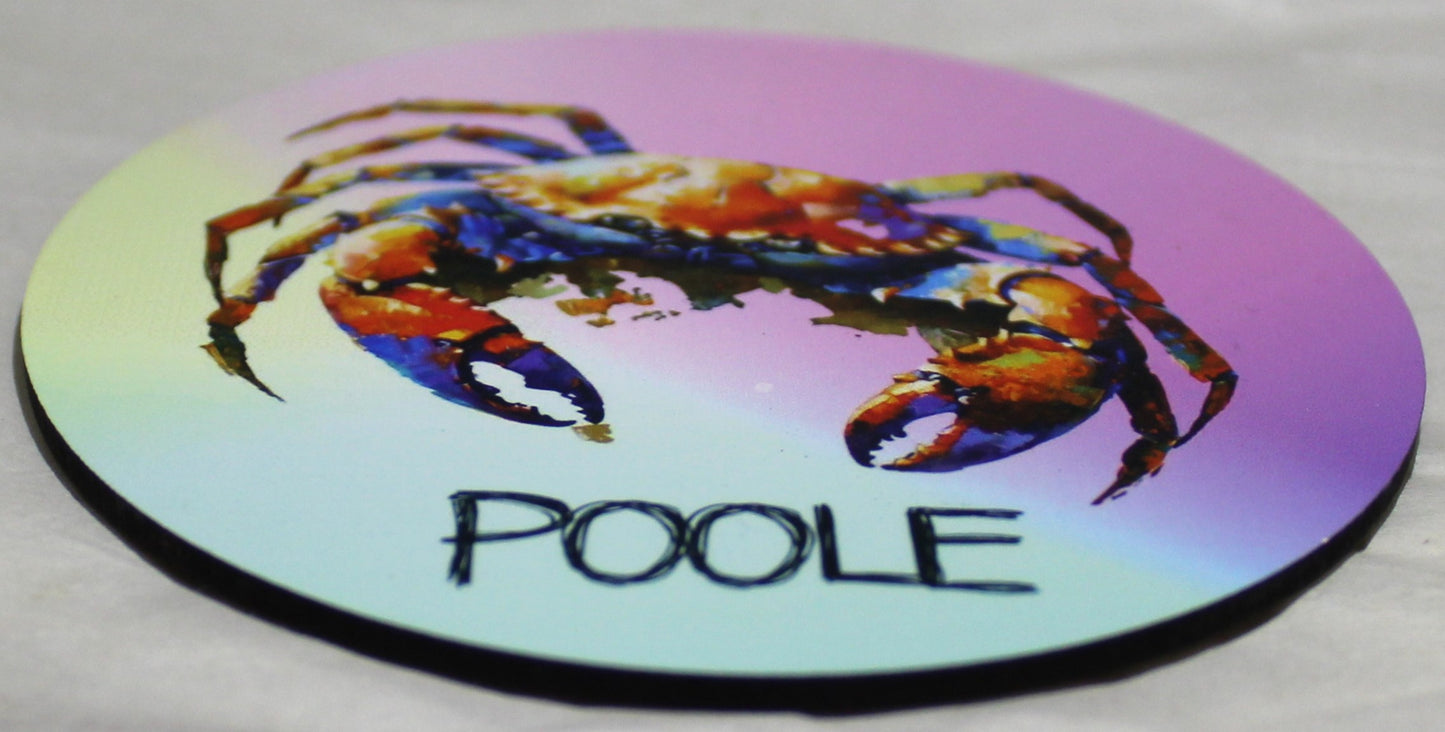 Poole Novelty Coasters