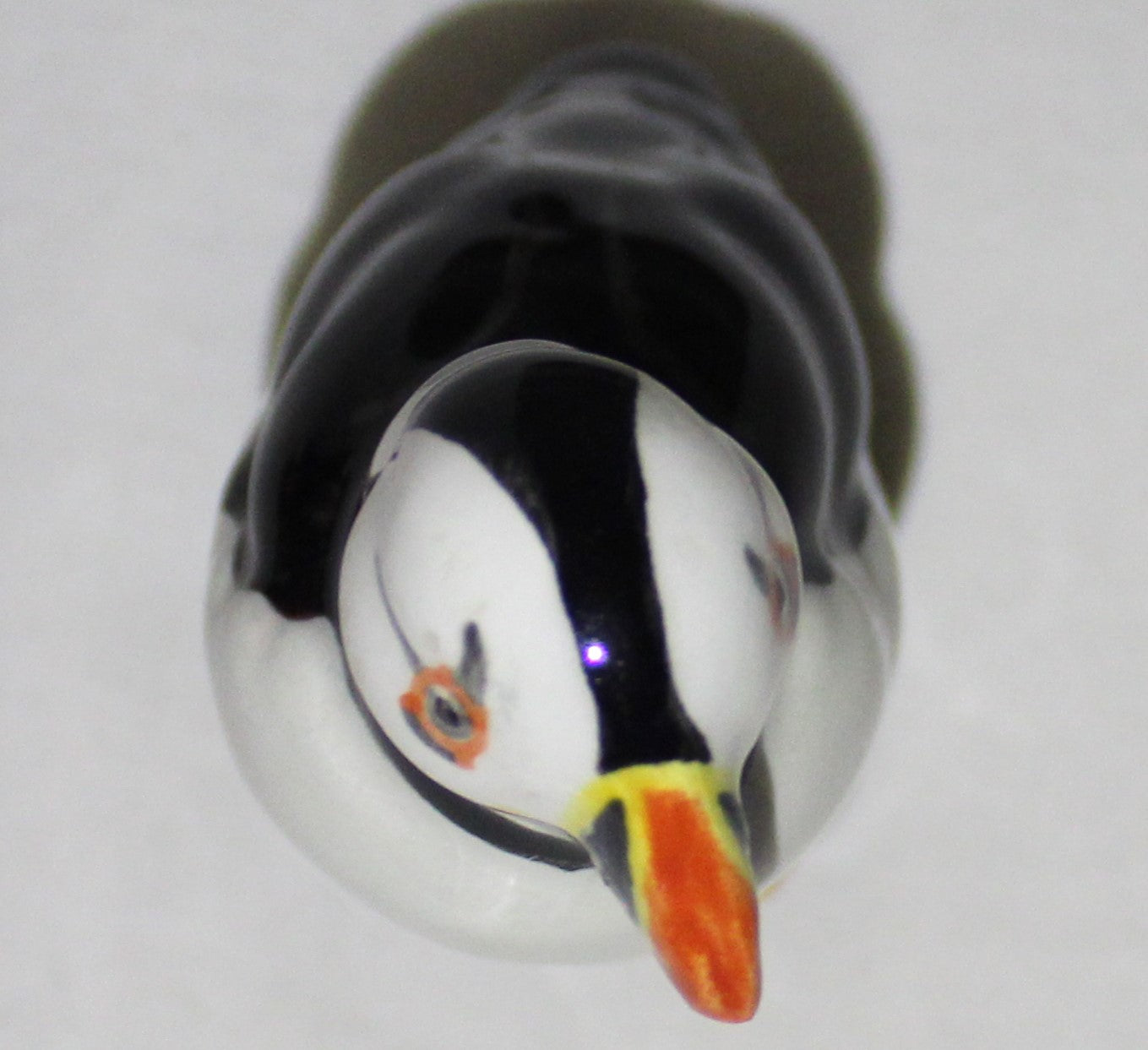 Natural Puffin - Poole Style