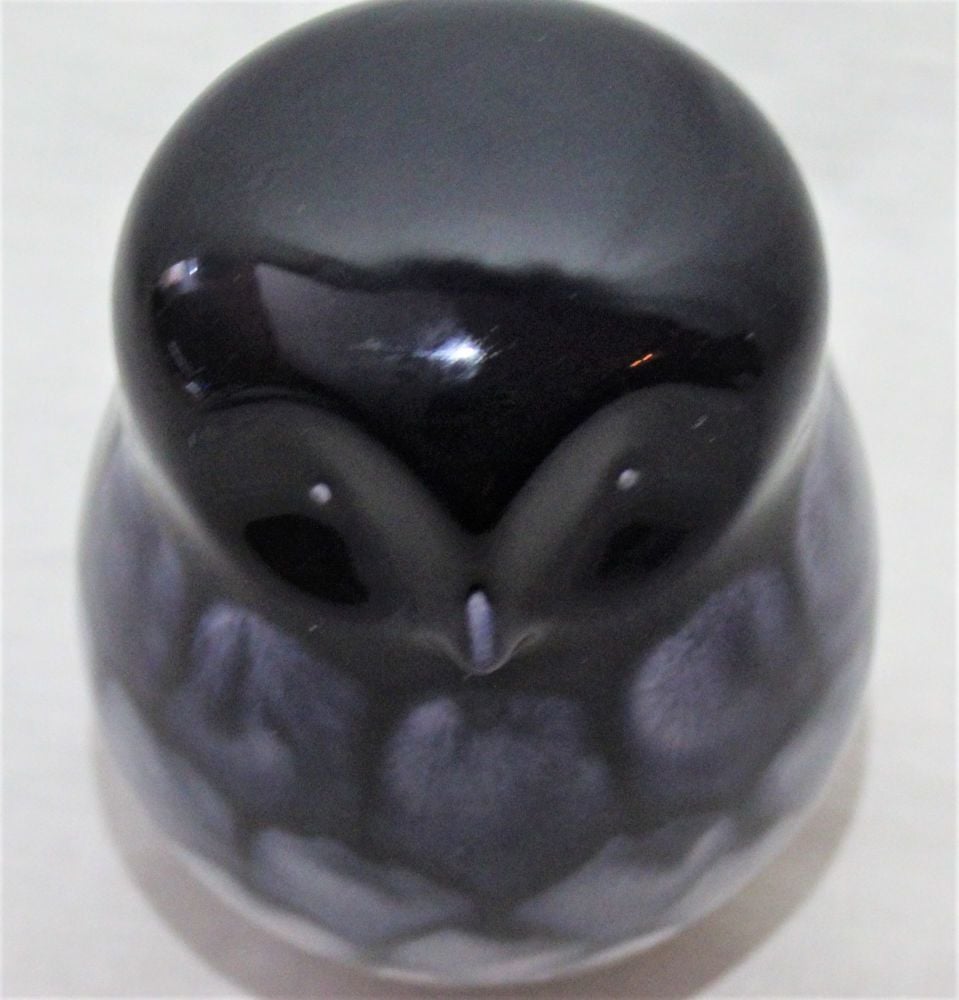 Poole Owl - Ocean design